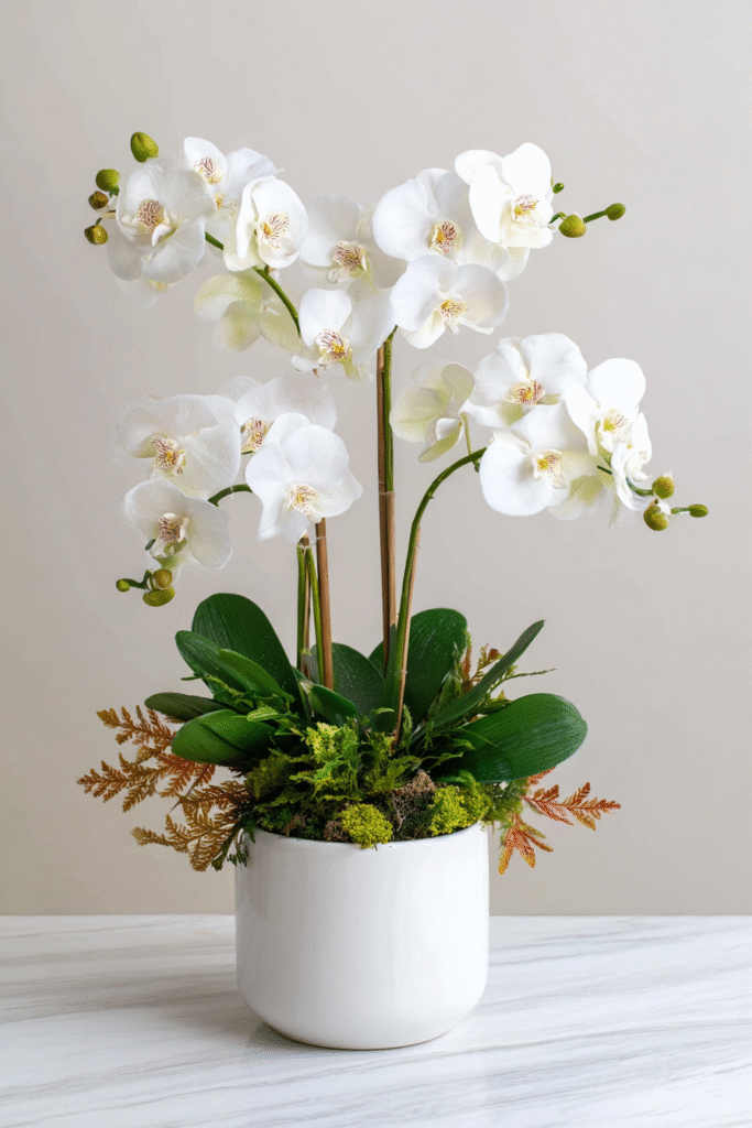 Orchids thanksgiving